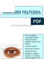 Anatomi PALPEBRA Dan Sistem Lakrimal Edit