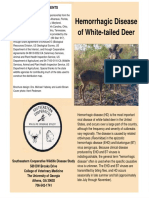 Hemorrhagic Disease of White-Tailed Deer: Acknowledgments
