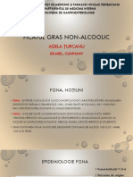 2 - Segiu Docx-Fisa