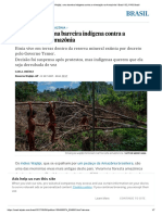 Renca - Povo Wajãpi, Uma Barreira Indígena Contra A Mineração Na Amazônia - Brasil - EL PAÍS Brasil