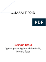 Demam Tifoid11