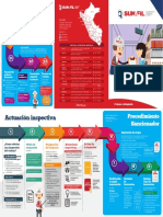 Tript_Procedimiento de la inspección del trabajo.pdf