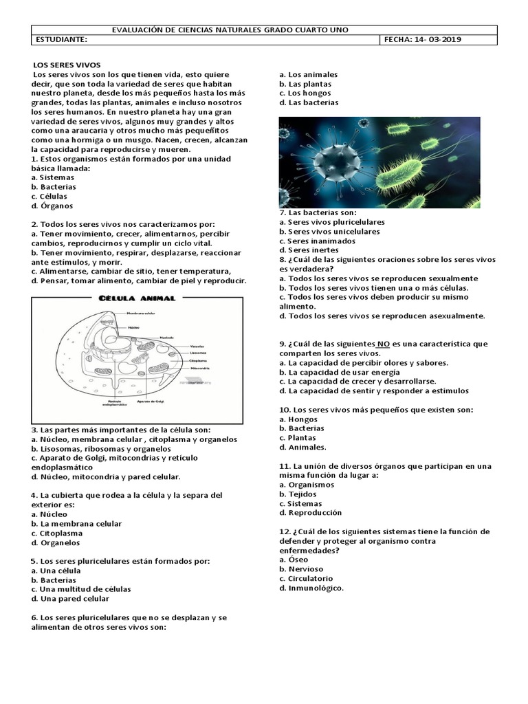 Evaluación de Seres Vivos 4to Grado | PDF | Organismos | Citoplasma