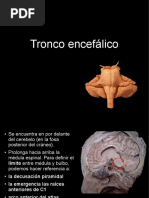 Tronco encefálico.pdf