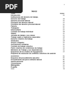 PRONTUARIO-DE-CLINICA-LABORAL-Clemente.docx