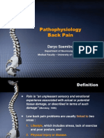 Pathophysiology Back Pain: Daryo Soemitro