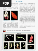 PFRD_1999_Araceae