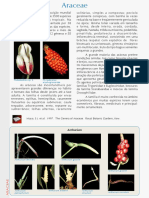 PFRD_1999_Araceae