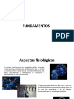 Fundamentacion - Jorge