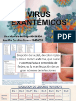 Virus Exantemicos MCB