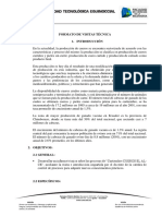 INFORME DE VISITA CASI CASI.docx