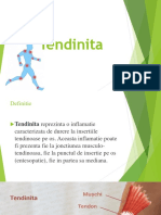 294986160-7-Tendinita