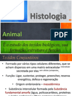 Histologia - P3.pdf