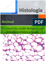 Histologia - P4.pdf