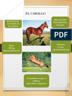 Tabloide el caballo.pptx