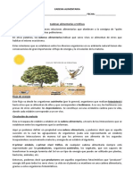 FICHA_1_CADENA_ALIMENTARIA_83572_20180501_20160927_130005.DOC.docx