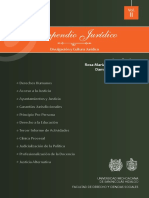 COMPENDIO DE DERECHO HUMANOS.pdf
