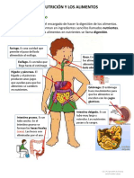 La Nutrición y Los Alimentos 2017