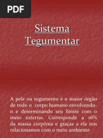 Sistema tegumentar