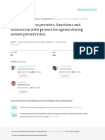 Seminal Plasma Proteins: Functions and Interaction With Protective Agents During Semen Preservation