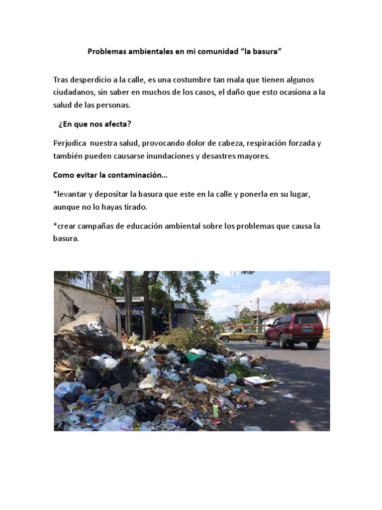 Problemas Ambientales en Mi Comunidad | PDF | Residuos | Entorno natural