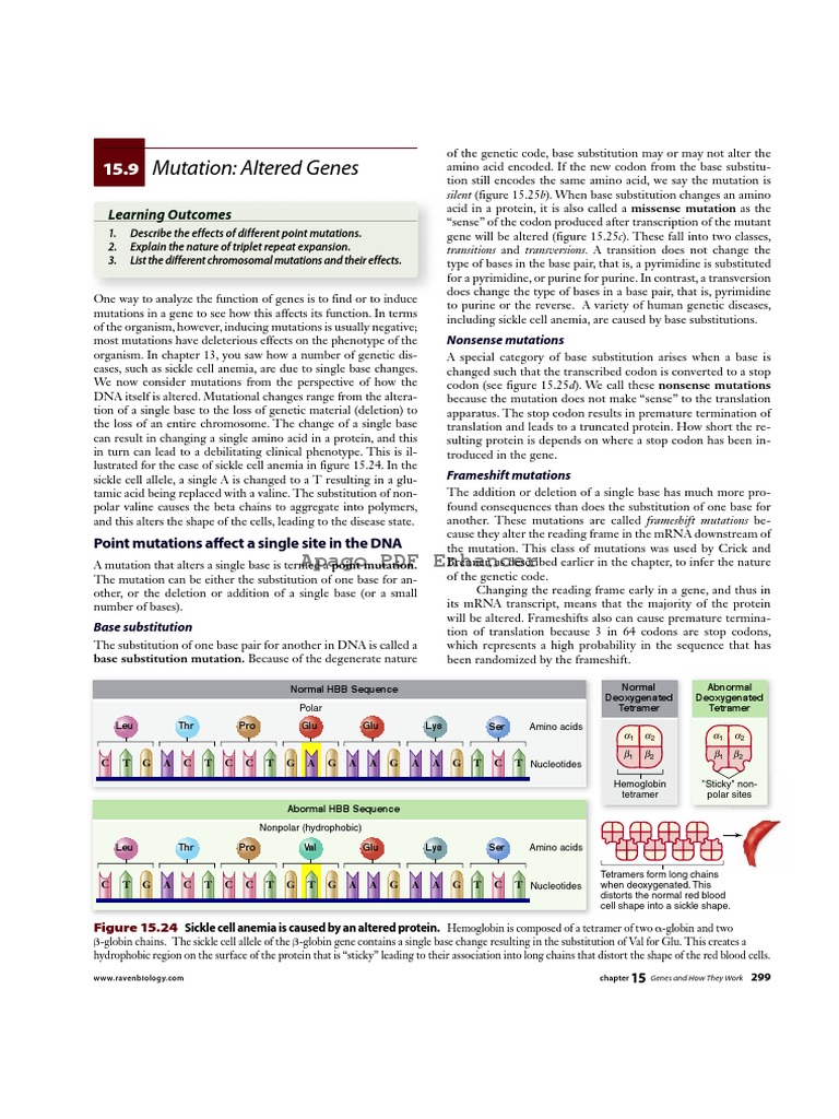 Nonsense Mutations and Their Impact | PDF | Translation (Biology ...