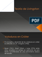 226046086-Copia-de-Teoria-de-Livingston.pdf