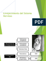 envejecimiento del sistema nervioso