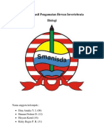 (Bio Laporan Hasil Pengamatan Hewan Invertebrata