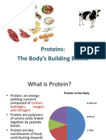 Proteins: The Body's Building Blocks
