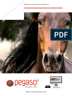 Presentacion Sistema Pegaso PDF 2 - 2