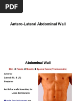Anterior Abdominal Wall Anatomy Overview | PDF | Abdomen ...