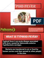 Thypoid Fever