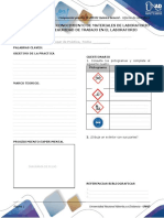 Anexo - Formato preinformes e informes.pdf
