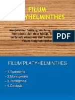 01 Platyhelminthes