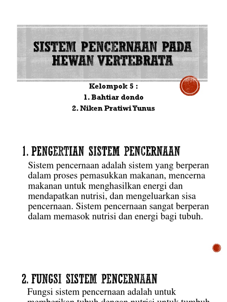 Ppt Sistem Pencernaan Pada Hewan Invertebrata