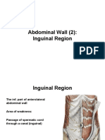 Anatomy, Lecture 9, Abdominal Wall