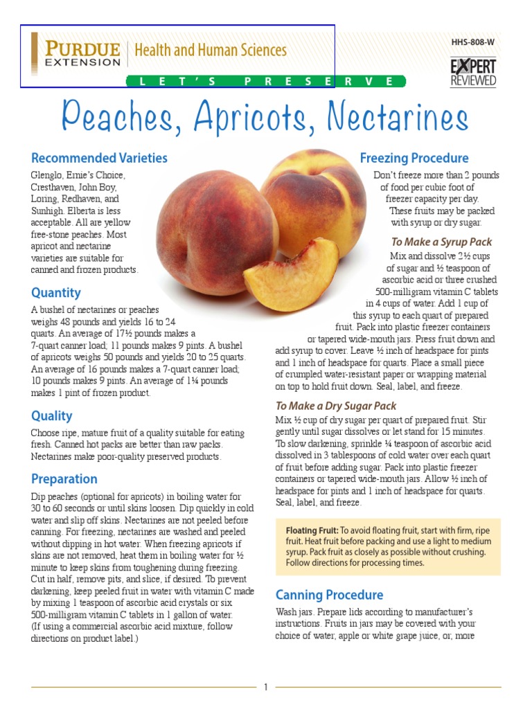 Canning and Freezing Peaches & Apricots | PDF | Pressure Cooking | Peach