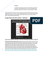 Apa Fungsi Sistem Kardiovaskuler.docx