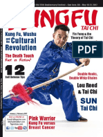 Kung Fu Tai Chi 2017-01-02 Downmagaz.com