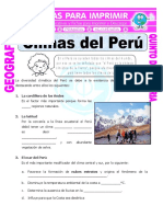 Climas Del Peru