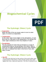 4 - Biogeochemical Cycles
