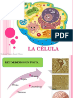 LA CÉLULA.ppt