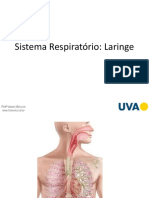 Sistema Respiratório Laringe