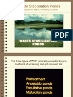 WSP Slides