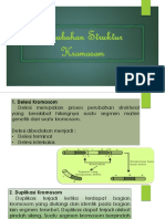 Perubahan Struktur Kromosom Revisi