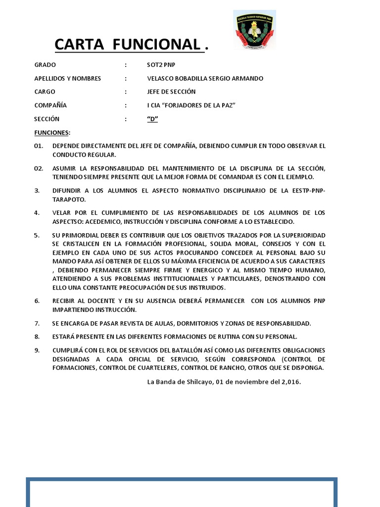 Modelo Carta De Funciones Pdf Porn Sex Picture