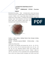 Aktivitas Antifungi Ekstrak Daun Kemangi