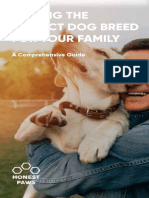 Family Dog Breed Guide
