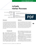 Pt093e PDF